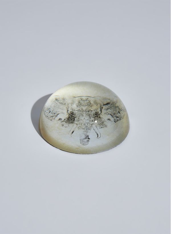 52940104_94_1-PESO-PAPEL-ELEFANT