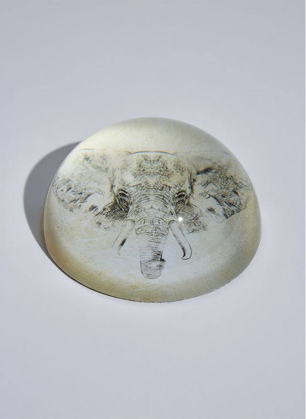 52940104_94_2-PESO-PAPEL-ELEFANT