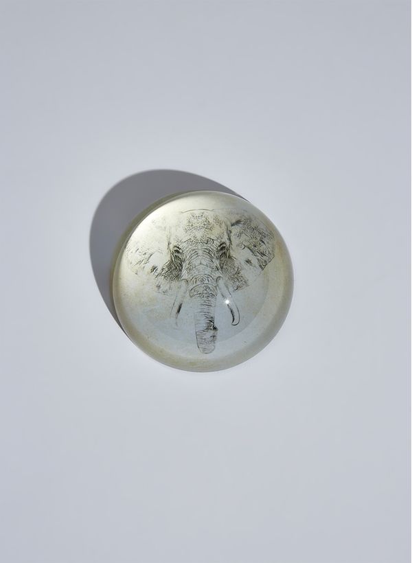 52940104_94_3-PESO-PAPEL-ELEFANT