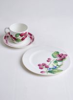 60780121_94_5-PRATO-SOBREMESA-BERRIES