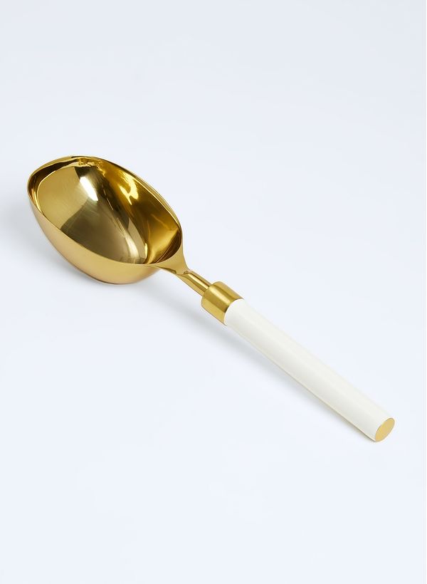 61710176_80_1-PEGADOR-DE-GELO-IRIS