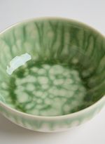 60610366_94_3-BOWL-VERDE-LAGOA
