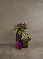 52900009_26_7-CACHEPOT-HIVE-M