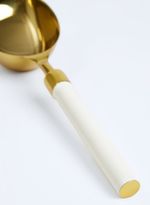 61710176_80_2-PEGADOR-DE-GELO-IRIS