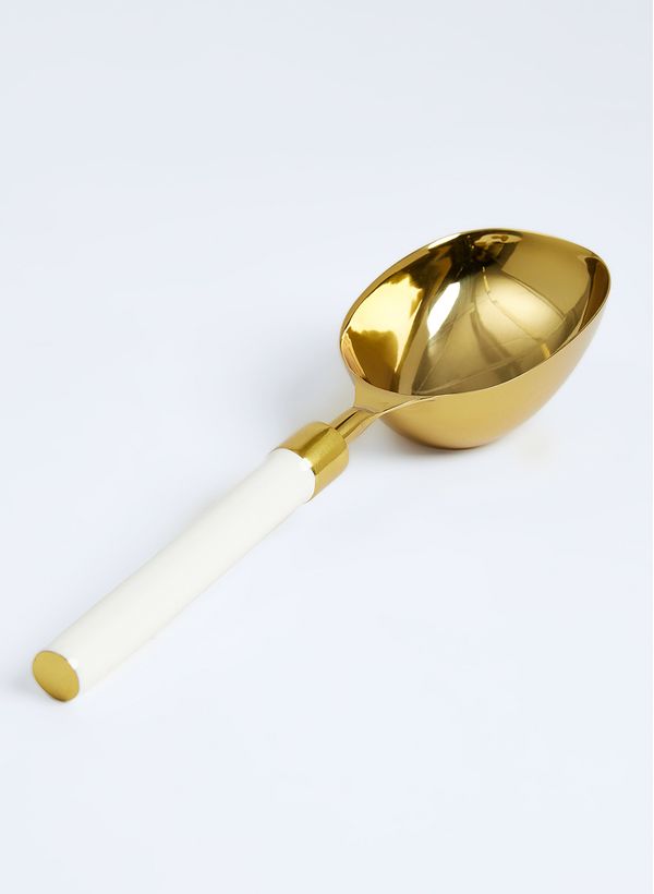 61710176_80_3-PEGADOR-DE-GELO-IRIS