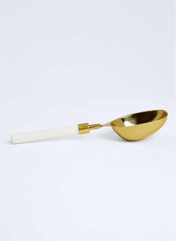 61710176_80_5-PEGADOR-DE-GELO-IRIS