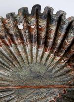 60820258_94_5-CENTRO-DE-MESA-LULLY-MARBLE