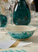 60610376_94_2-BOWL-BIOMAS-BRASILEIROS