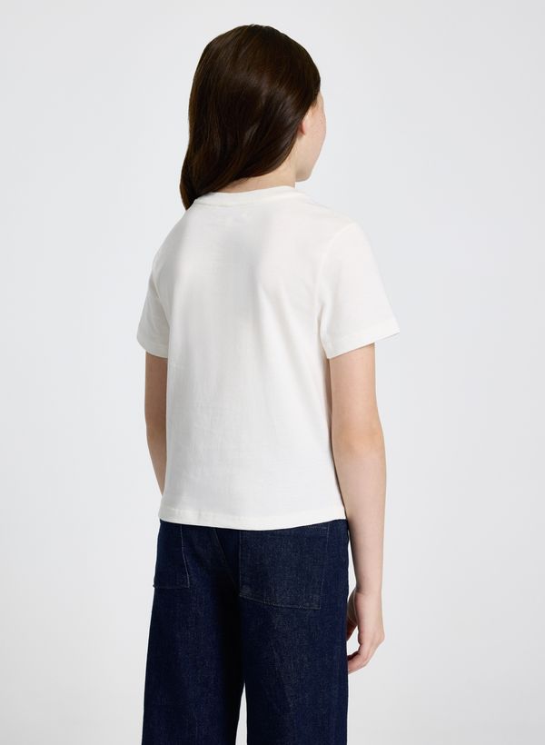 11067055_11_3-CAMISETA-CARTA-PETIT
