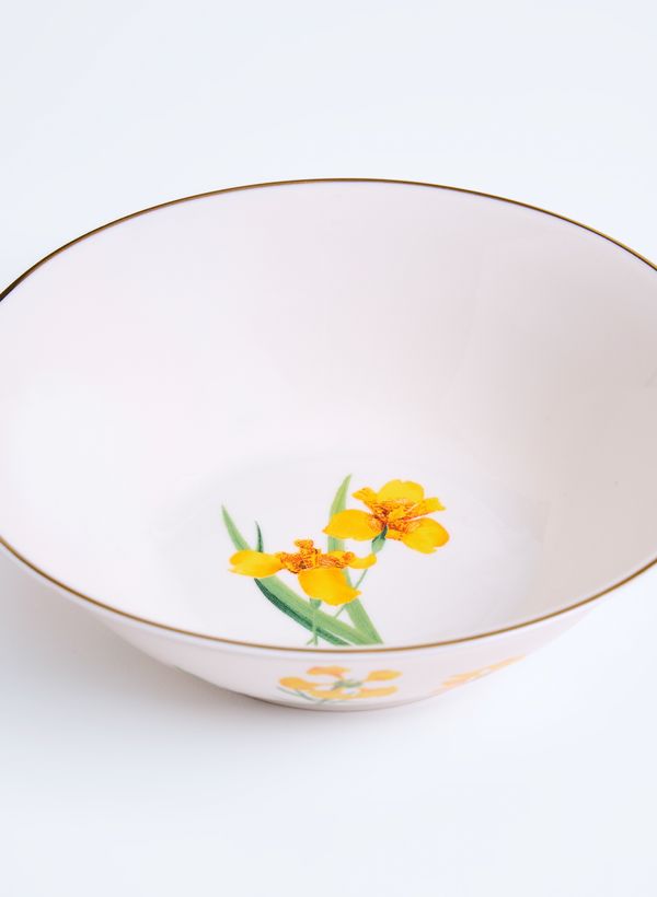 60610381_94_3-BOWL-AMARELAS-DO-CERRADO