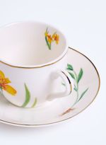 60860042_94_3-XICAR-CAFE-AMARELAS-D-CERRAD