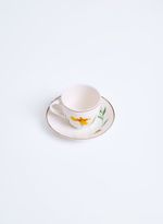 60860042_94_7-XICAR-CAFE-AMARELAS-D-CERRAD