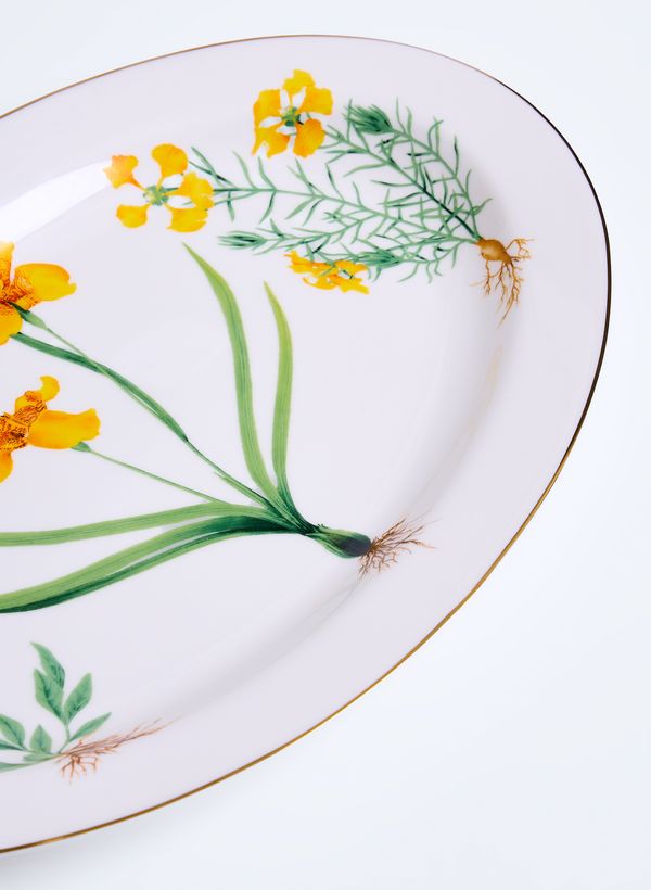 60710208_94_3-TRAVESS-AMARELAS-DO-CERRADO