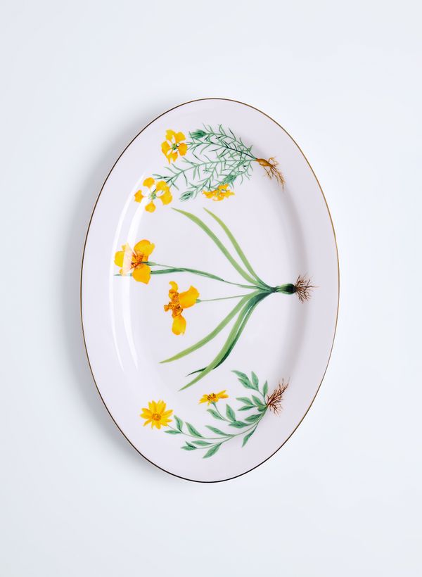 60710208_94_7-TRAVESS-AMARELAS-DO-CERRADO