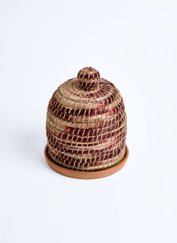 60900062_94_17-PORTA-PANETONE-ACACIA