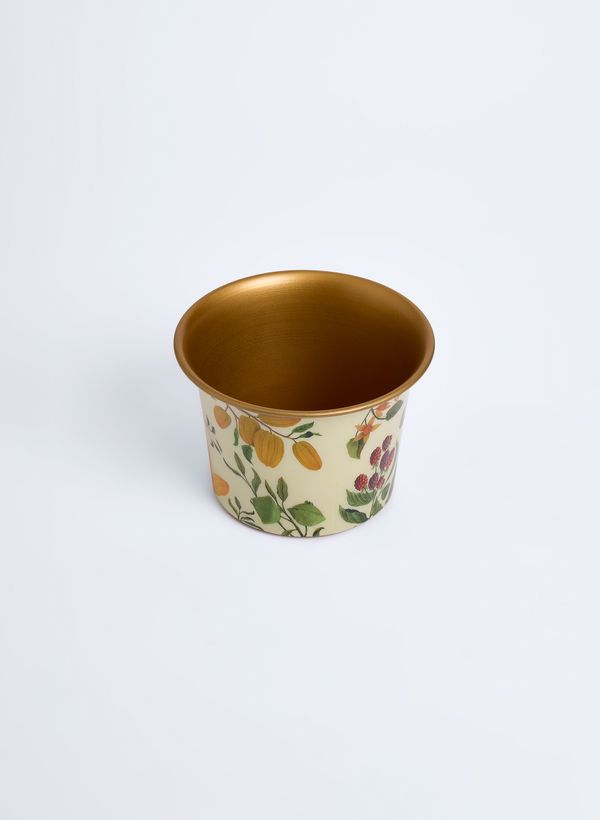 58020029_94_7-CACHEPOT-CAJU-P