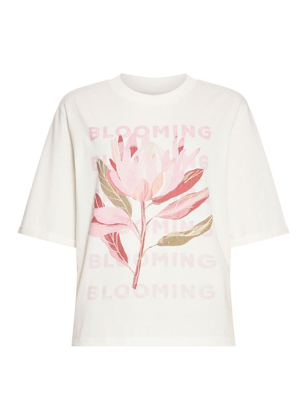 42010156_11_6-BLUSA-PROTEA-BLOOMING