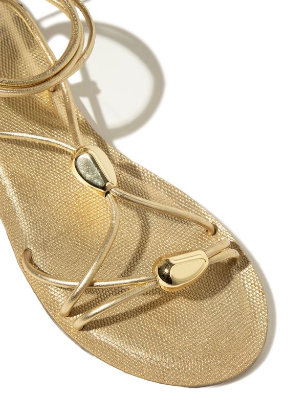 29141315_80_3-RASTEIRA-EVA