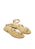 29141315_80_4-RASTEIRA-EVA