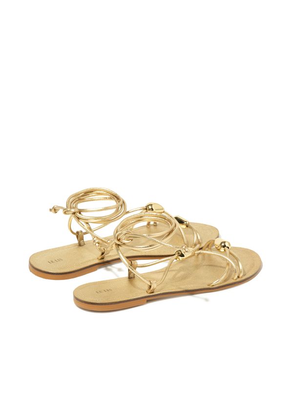 29141315_80_5-RASTEIRA-EVA