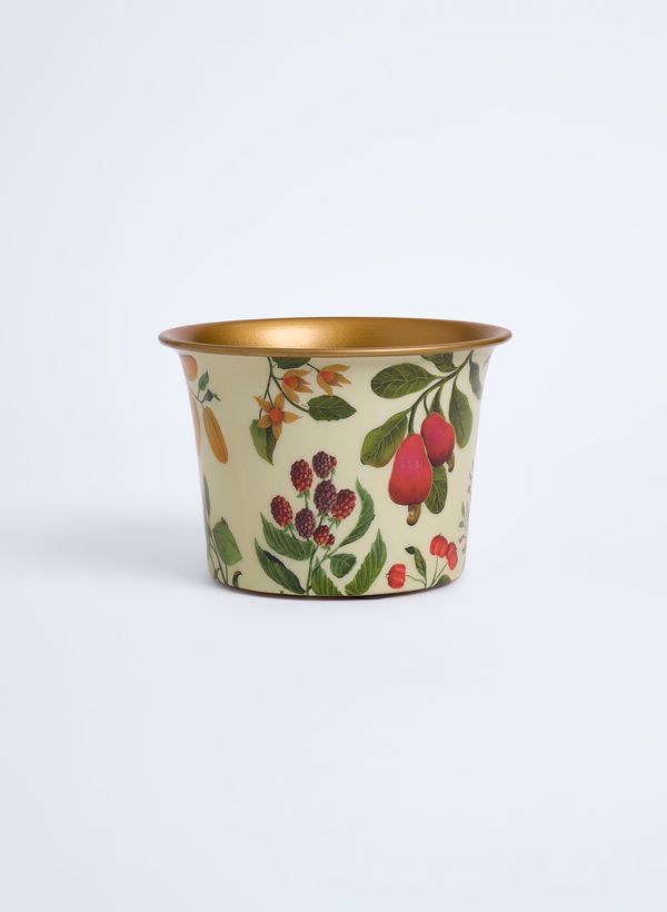 58020029_94_1-CACHEPOT-CAJU-P