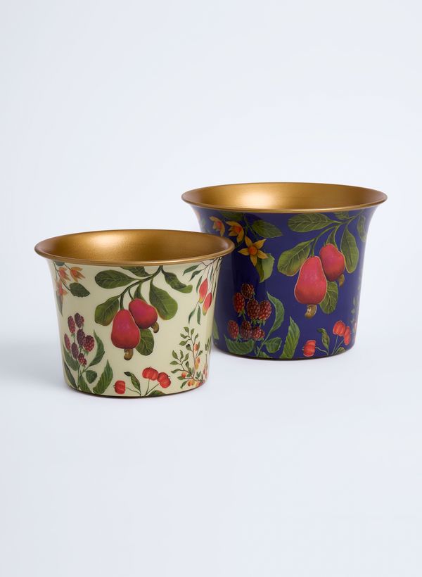 58020030_94_5-CACHEPOT-CAJU-M