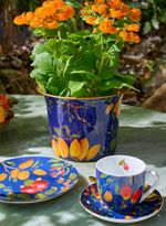 58020030_94_2-CACHEPOT-CAJU-M