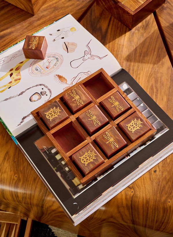 52950081_24_2-JOGO-DA-VELHA-INSETOS