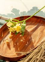 60600721_46_6-BANDEJA-ACAI