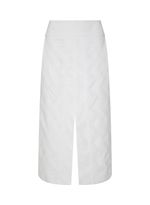 16012747_11_6-SAIA-ALICIA