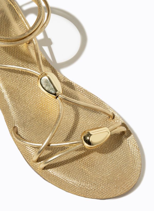 29141315_80_3-RASTEIRA-EVA