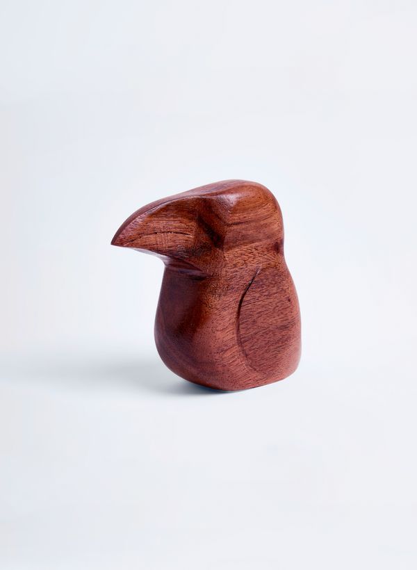 52940134_46_3-ENFEITE-TUCANO-P