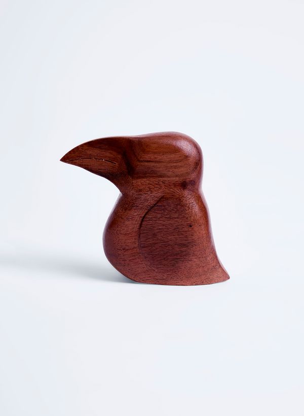 52940134_46_7-ENFEITE-TUCANO-P