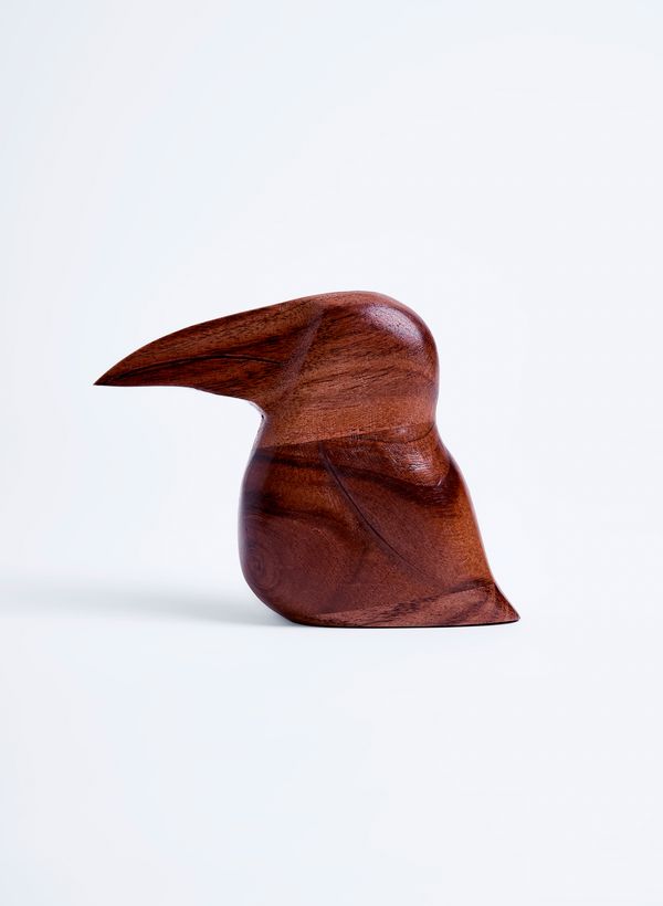 52940135_46_7-ENFEITE-TUCANO-M