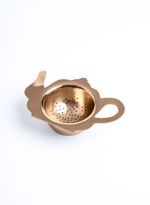 60800144_80_7-INFUSOR-DE-CHA-MASALA