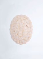 60680484_94_1-SOUSPLAT-MADREPEROLA-II