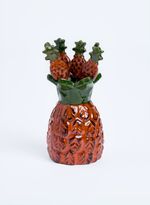 60930055_94_1-SET-APERITIVO-ABACAXI